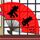 温峥嵘 二重唱